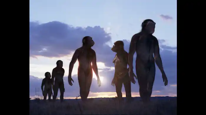 人類の起源アウストラロピテクス