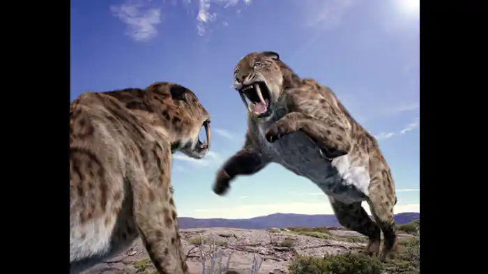 最強の肉食獣サーベルタイガー