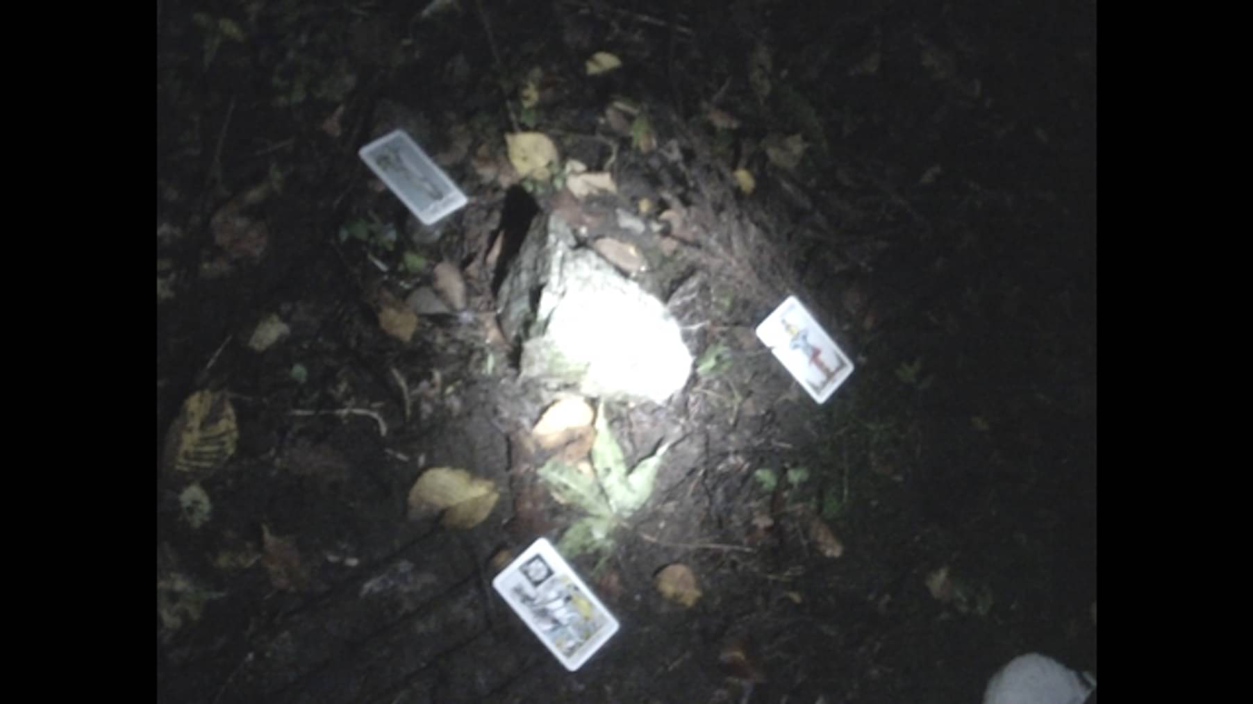 闇動画 恐怖の心霊怪奇映像集 闇動画8 恐怖の心霊怪奇映像集 バラエティ 12 の動画視聴 U Next 31日間無料トライアル