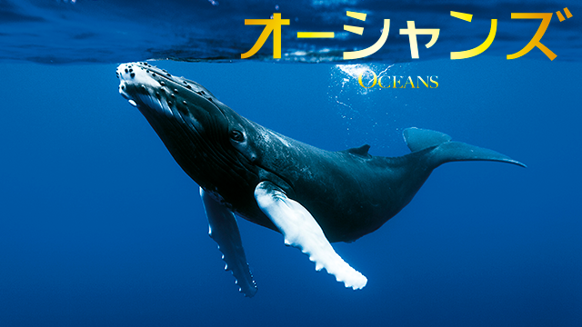 オーシャンズ|映画無料視聴フル動画!海の神秘と壮大なストーリー オーシャンズ|映画無料視聴フル動画!海の神秘と壮大なストーリー