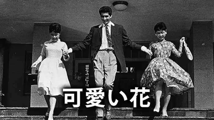 可愛い花