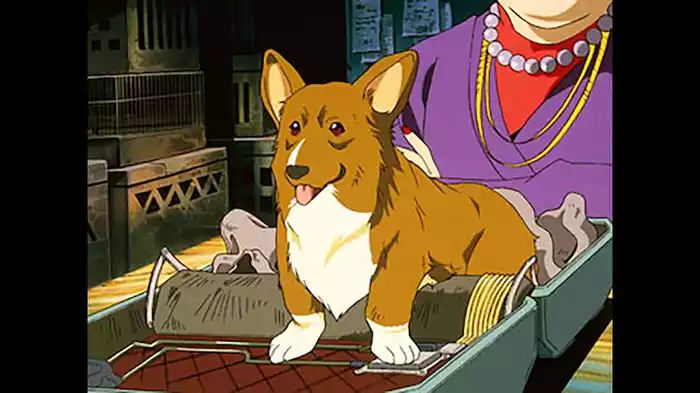 野良犬のストラット