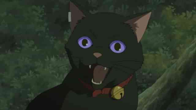 Darker Than Black 黒の契約者 のアニメ無料動画を配信しているサービスはここ 動画作品を探すならaukana