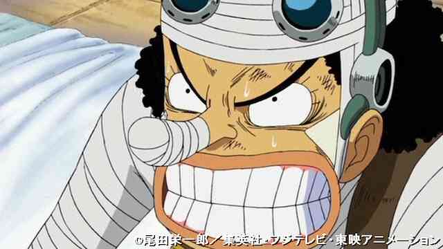 ワンピース Onepiece ウォーターセブン編 第229話 第263話 のアニメ無料動画を全話 1話 最終回 配信しているサービスはここ 動画 作品を探すならaukana