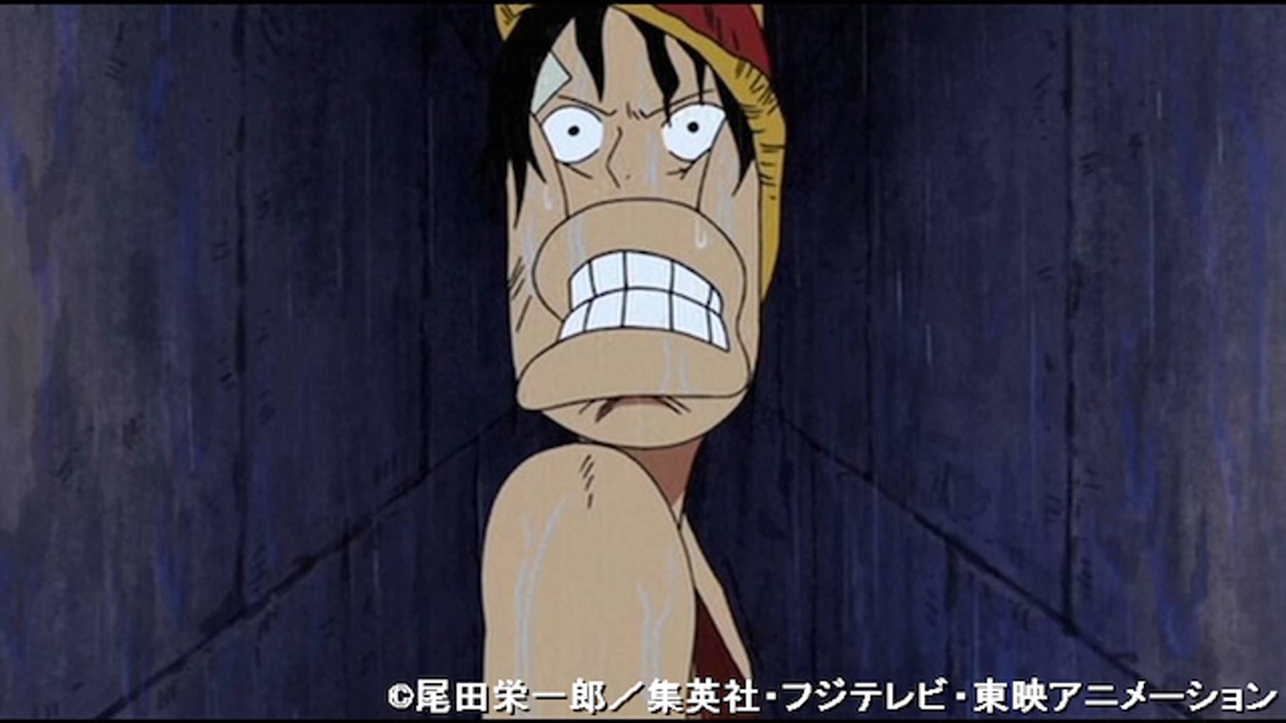 ワンピース ウォーターセブン編 254 ナミ魂の叫び 麦わらのルフィ復活 アニメ 05 の動画視聴 U Next 31日間無料トライアル