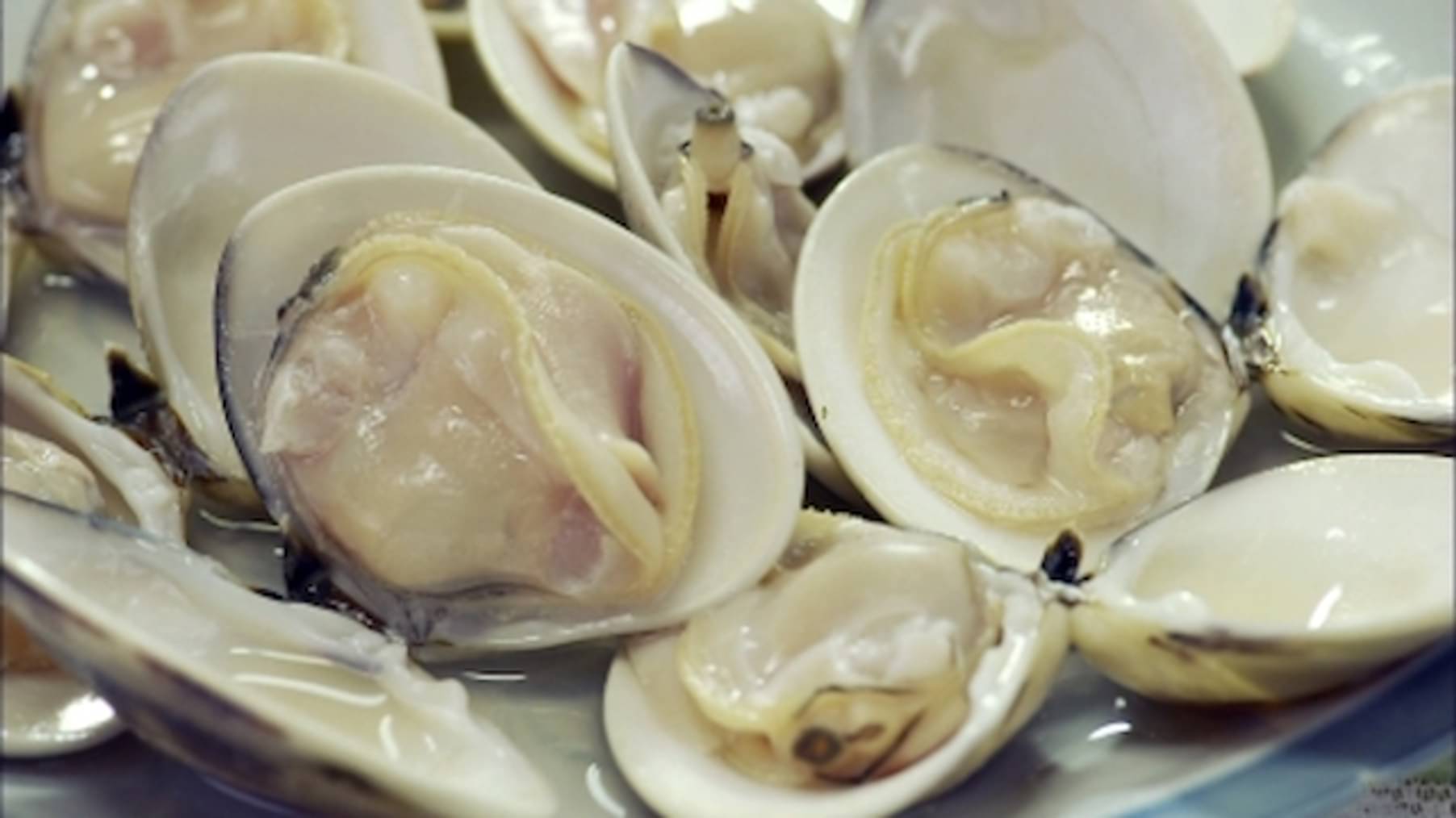 U Next ユーネクスト 映画 ドラマ アニメから マンガや雑誌といった電子書籍まで 31日間無料トライアル