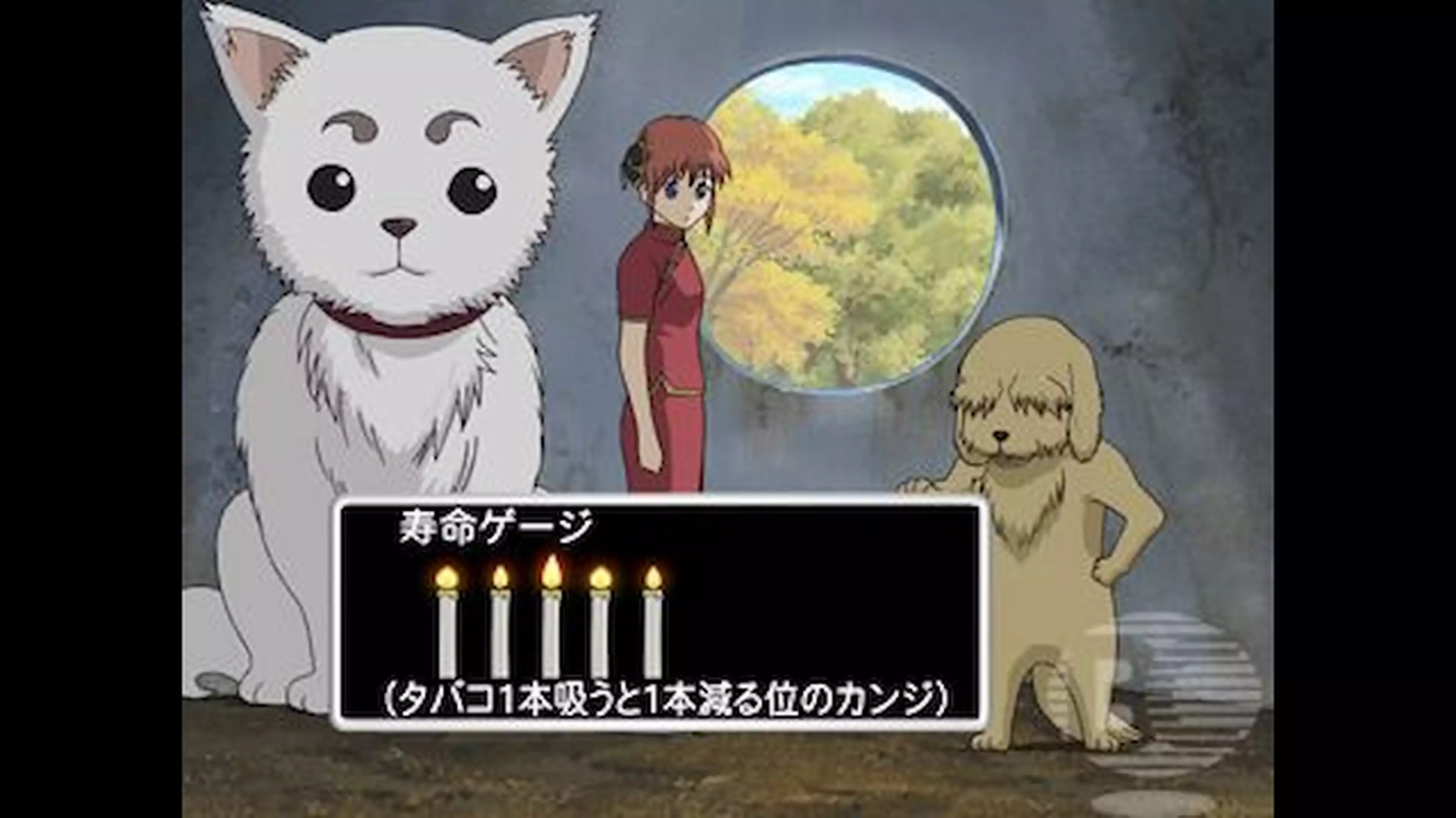 銀魂 ３年目 第130話 猫好きと犬好きは相容れない アニメ 06年 の動画視聴 あらすじ U Next