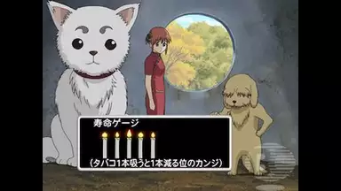 銀魂 3年目 第130話 猫好きと犬好きは相容れない アニメ 06年 の動画視聴 あらすじ U Next 銀魂 3年目 第130話 猫好きと犬好きは相容れない アニメ 06年 の動画視聴 あらすじ U Next