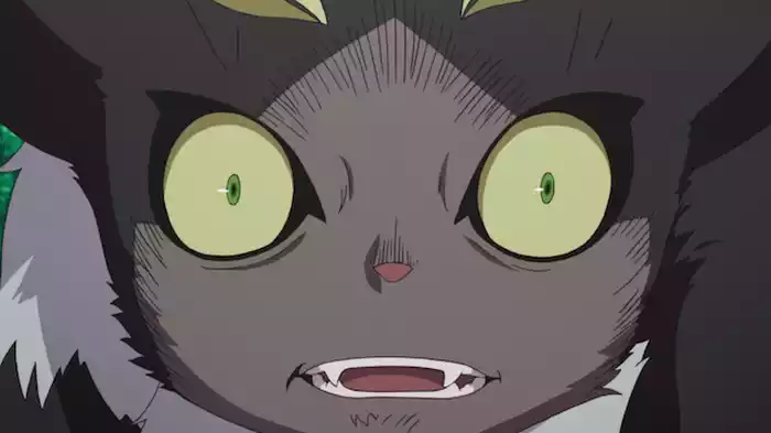 黒猫（ケットシー）