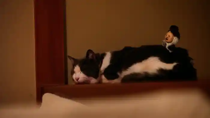 カクレケダマ編