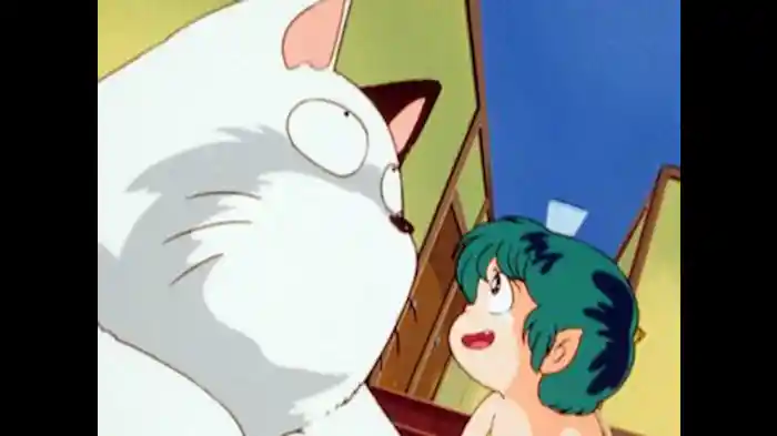 階段に猫がおんねん