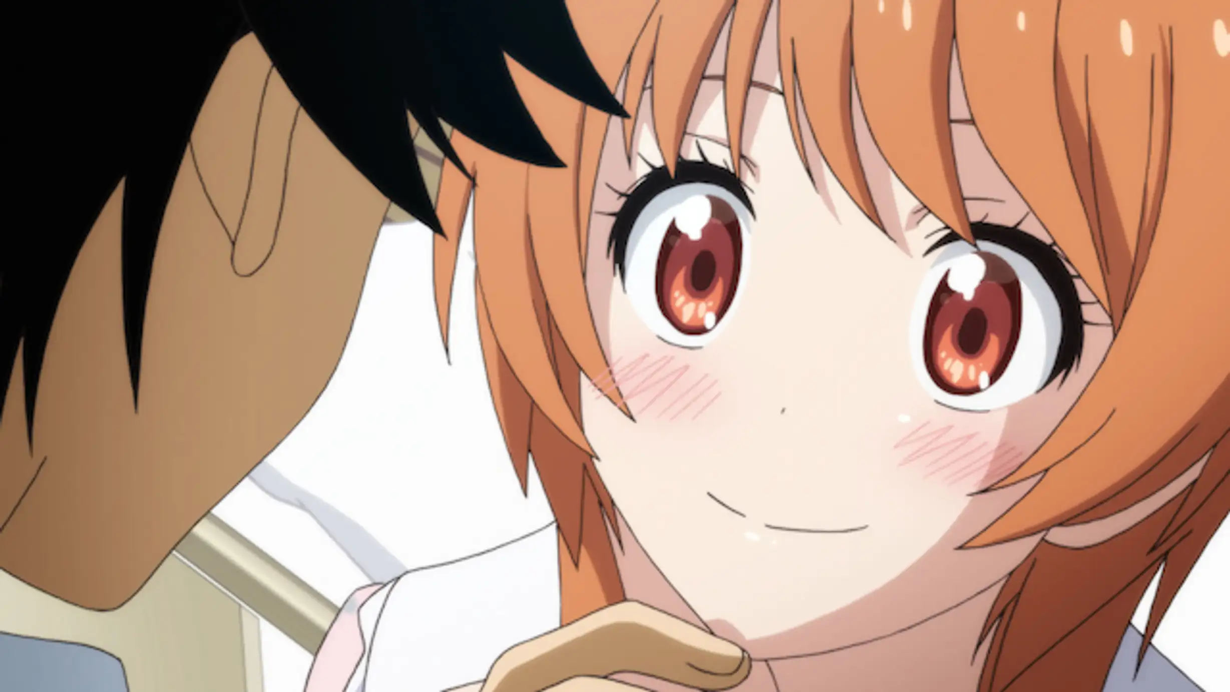 ニセコイ 第14話 シュラバ アニメ 14年 の動画視聴 あらすじ U Next
