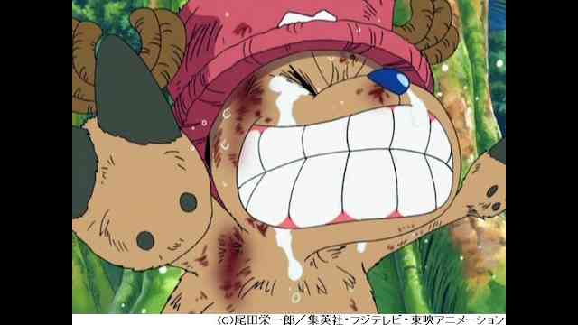 ワンピース Onepiece 空島 スカイピア編 第144話 第173話 のアニメ無料動画を配信しているサービスはここ 動画作品を探すならaukana