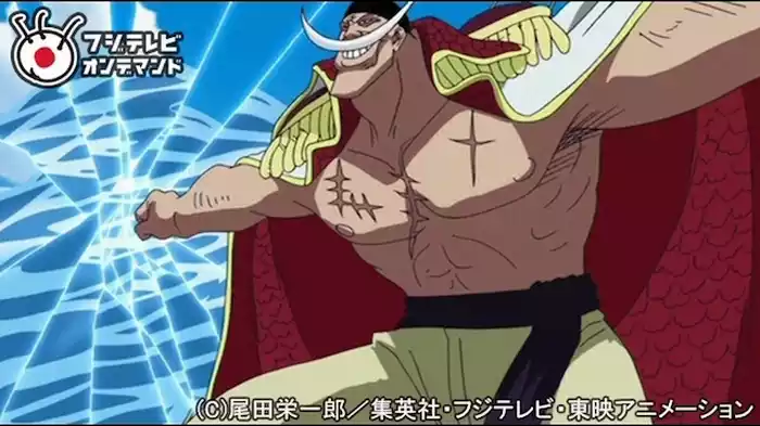 決戦の幕開け！エースと白ひげの過去