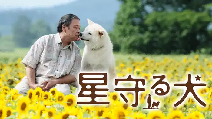 星守る犬