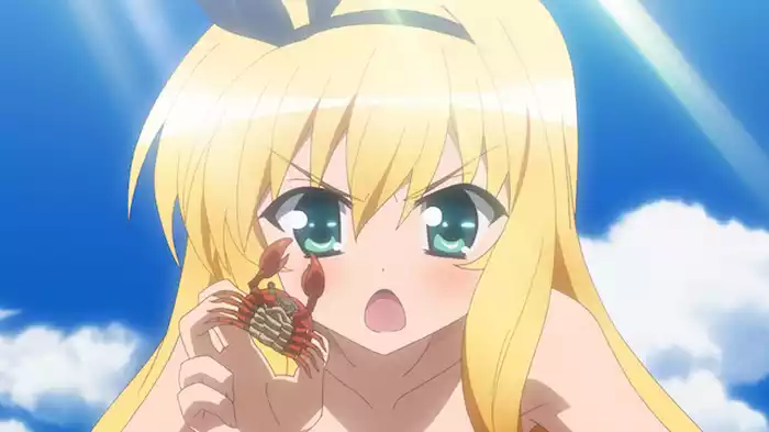 真夏のトライアングルラブ？