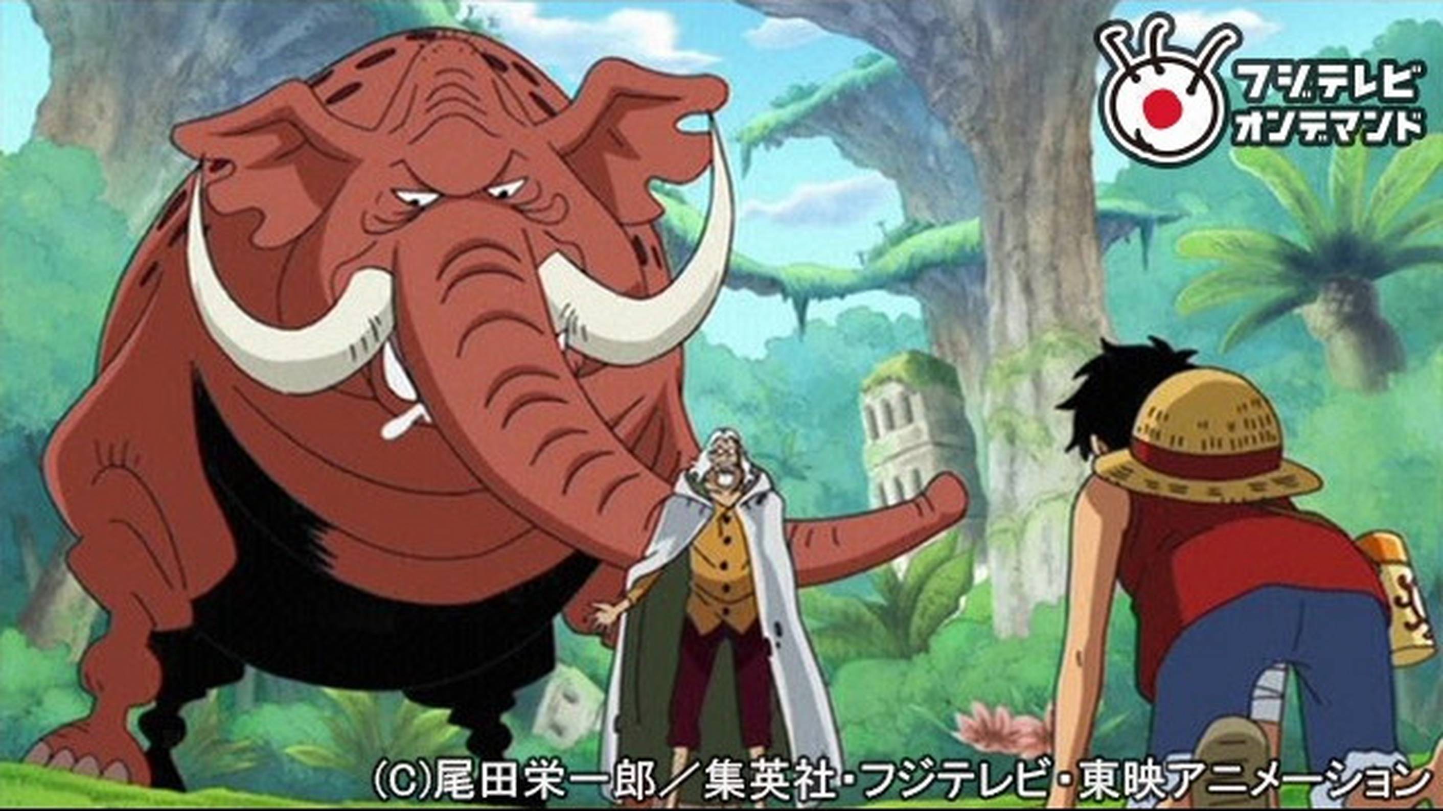 ワンピース マリンフォード編 ３ 516 ルフィ修行開始 2年後に約束の場所で アニメ 11 の動画視聴 U Next 31日間無料トライアル