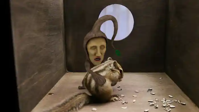 モクモドキオオコビト編