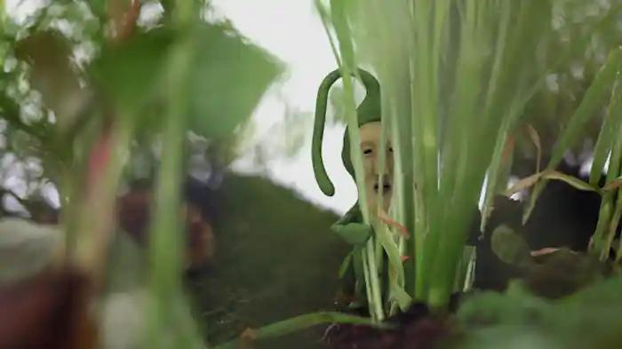 クサマダラオオコビト編