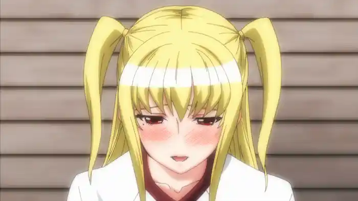 『真・美少女だらけの水泳大会』