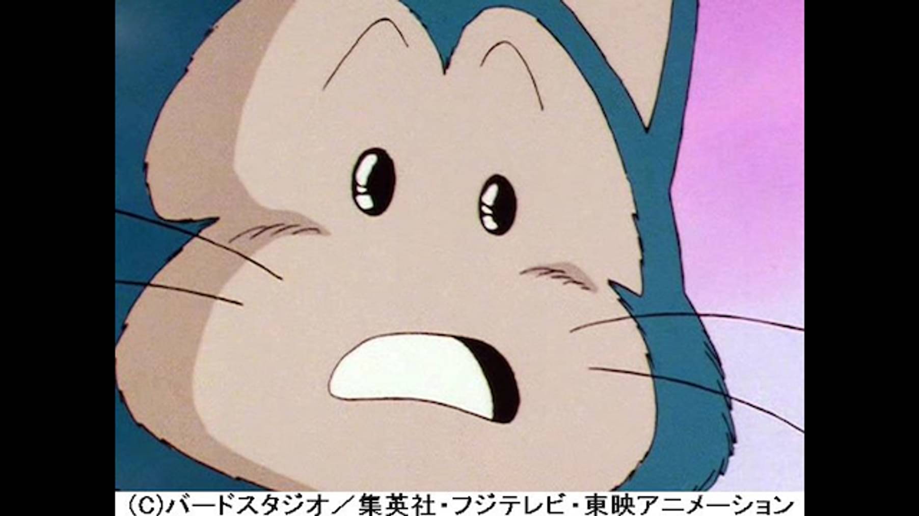 ドラゴンボールz 第23話 ヤムチャ死す おそるべしサイバイマン アニメ 19 の動画視聴 U Next 31日間無料トライアル