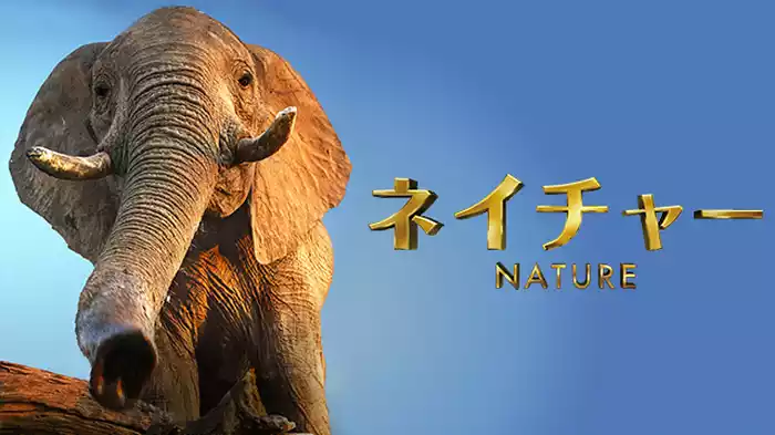 ネイチャー