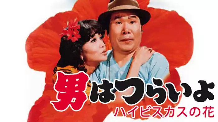 男はつらいよ ハイビスカスの花