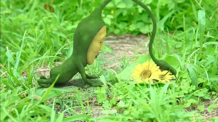 オトリマダラ編