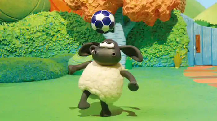 ティミー、サッカーをする