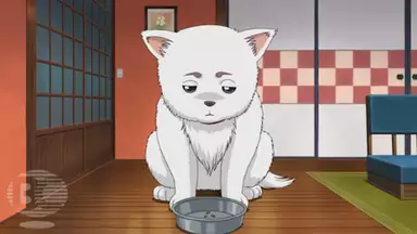 銀魂 延長戦 第257話 傾城逆転 アニメ 12年 の動画視聴 あらすじ U Next 銀魂 延長戦 第257話 傾城逆転 アニメ 12年 の動画視聴 あらすじ U Next