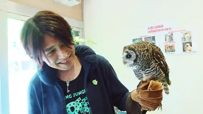 フクロウに触りたいです