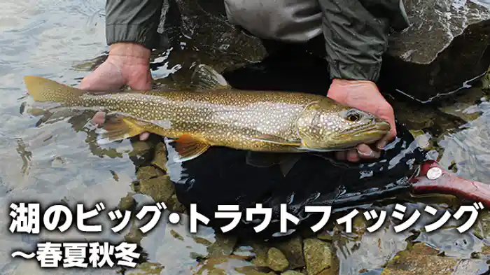 湖のビッグトラウトフィッシング 春夏秋冬