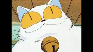 らんま1 2 デジタルリマスター版 第2シーズン 第72話 フィアンセは化け猫 アニメ 19年 の動画視聴 あらすじ U Next らんま1 2 デジタルリマスター版 第2シーズン 第72話 フィアンセは化け猫 アニメ 19年 の動画視聴 あらすじ U Next