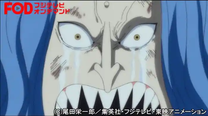 ゼロに！ルフィへの熱き願い！