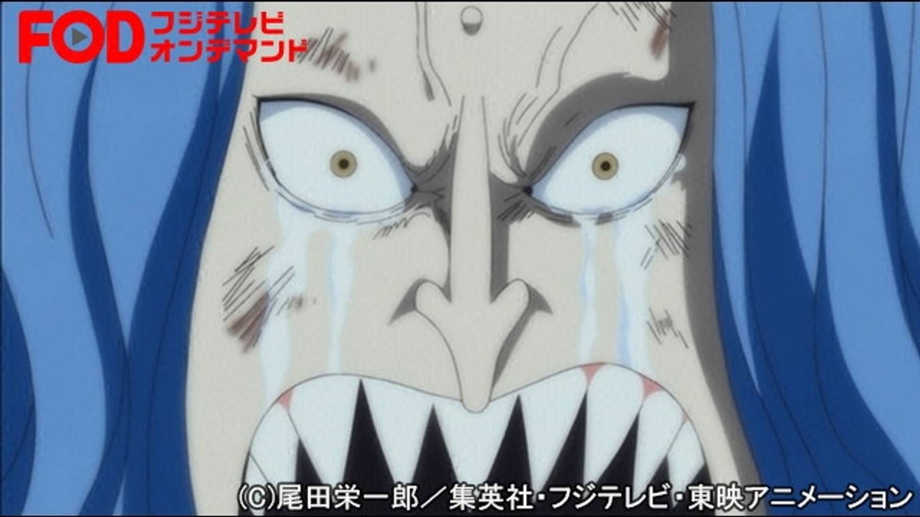 ワンピース 魚人島編 ３ 564 ゼロに ルフィへの熱き願い アニメ 1999 の動画視聴 U Next 31日間無料トライアル