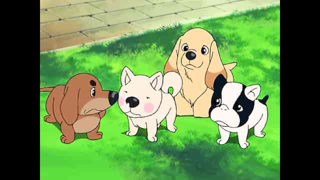 213 送料無料 ふぉうちゅんドッグす Dvd フォーチューンドッグ アニメ ふぉんちゅんドッグス 1 2 4 正規品 Datum Az