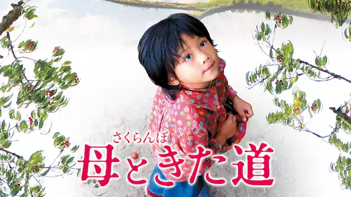 さくらんぼ　母ときた道