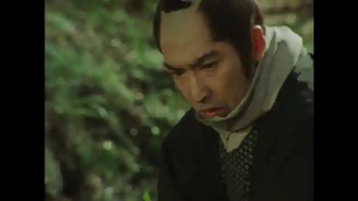 夢売ります　手折れ花