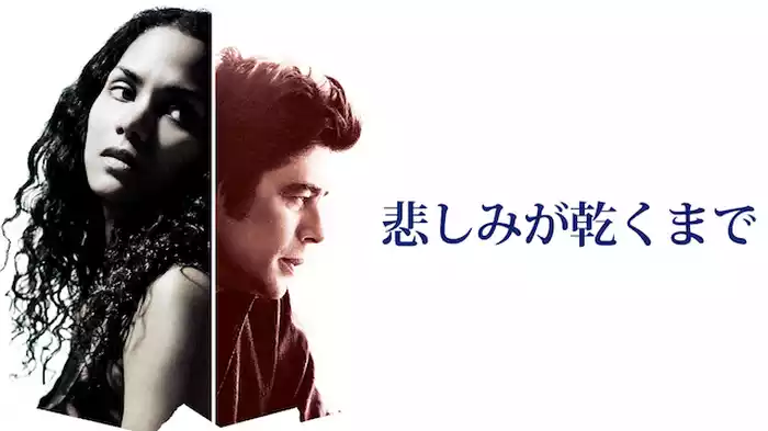 悲しみが乾くまで