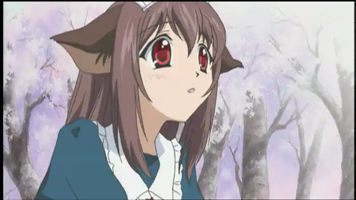 メイドですから…