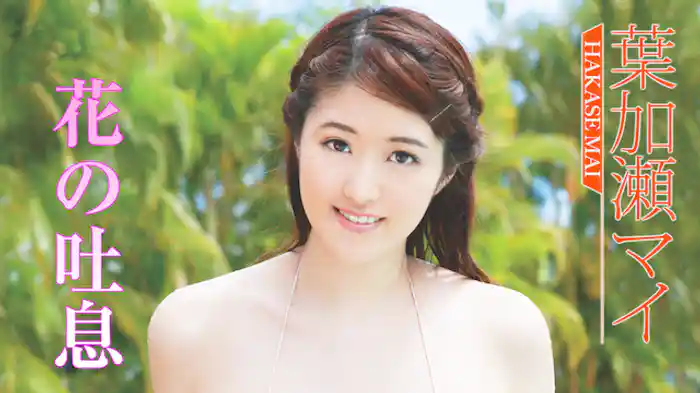 葉加瀬マイ 『花の吐息』
