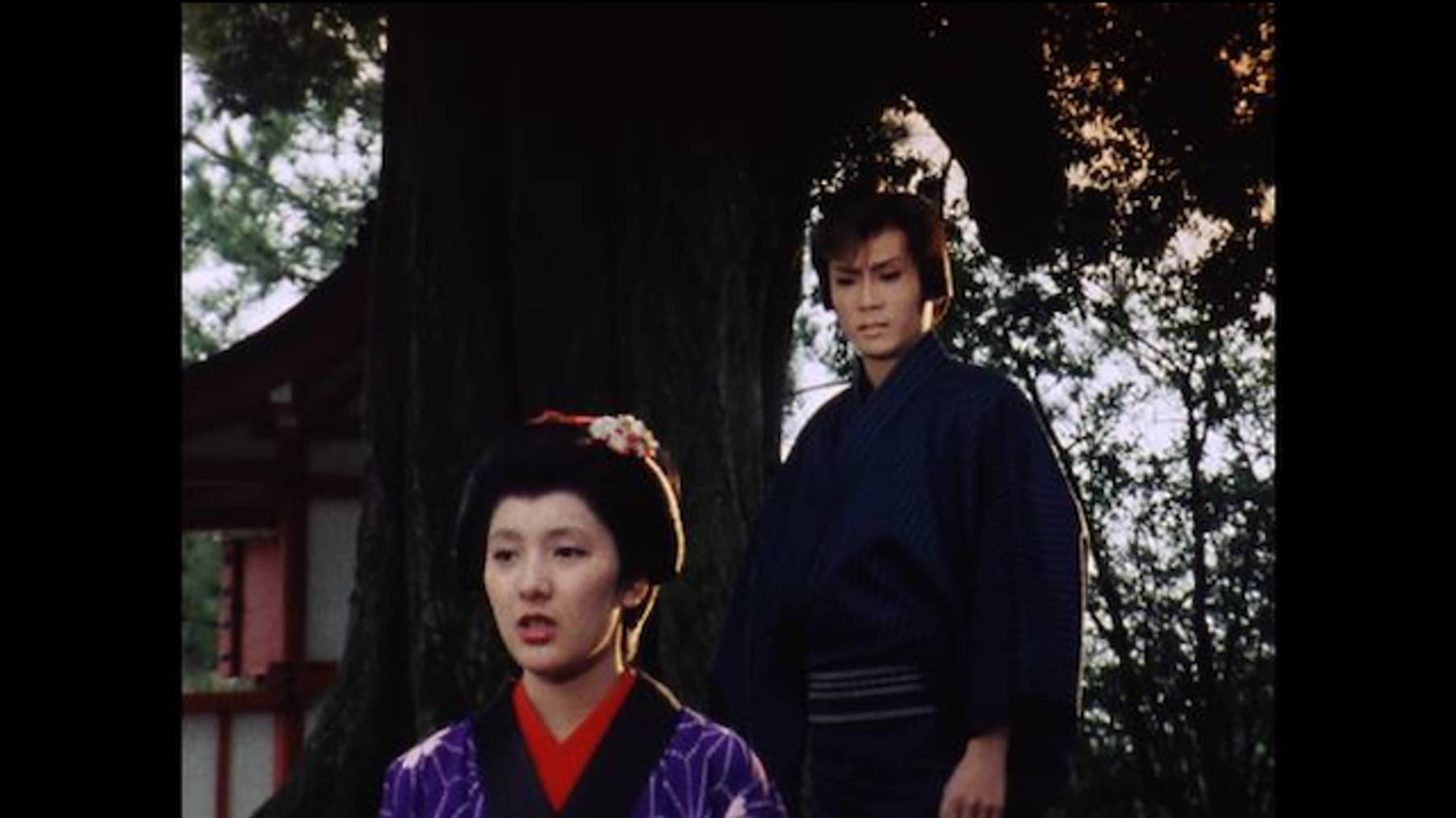 必殺仕事人ｖ 国内ドラマ 1985 の動画視聴 U Next 31日間無料トライアル