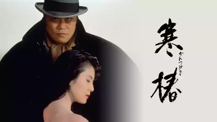 寒椿