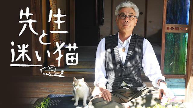 先生と迷い猫(邦画 / 2015) - 動画配信 | U-NEXT 31日間無料トライアル