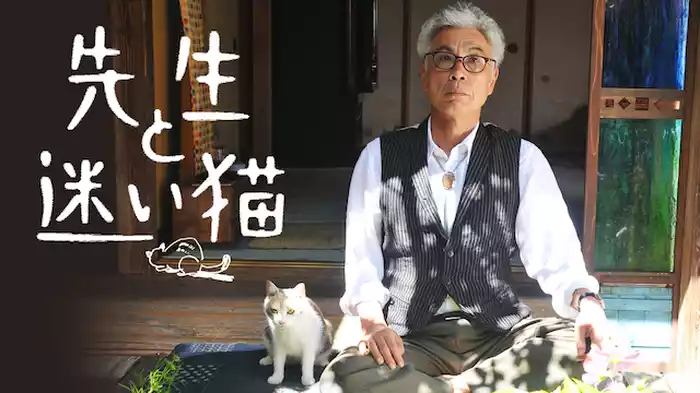先生と迷い猫
