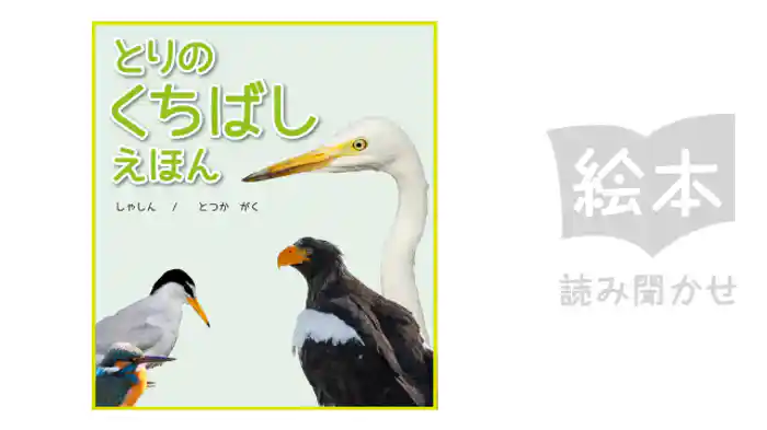 とりのくちばしえほん