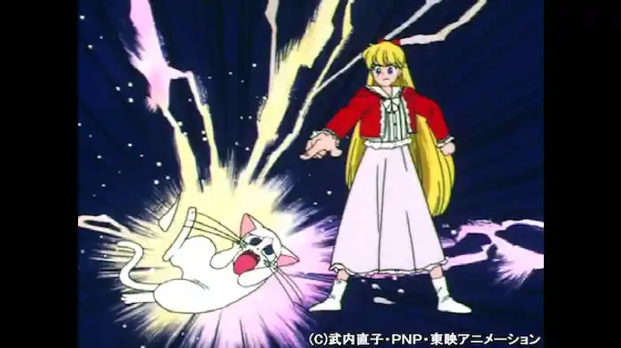 アルテミスの浮気? 謎の子猫登場