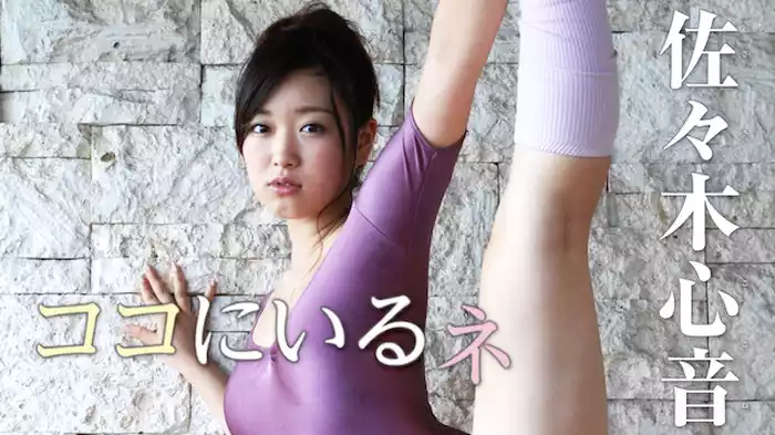 佐々木心音 『ココにいるネ』