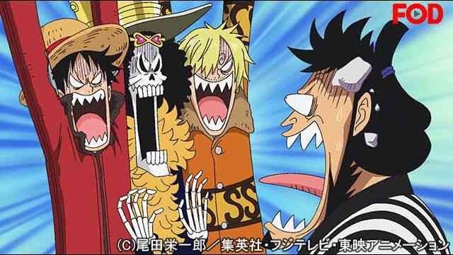 ワンピース Onepiece パンクハザード編 第579話 第628話 のアニメ無料動画を全話 1話 最終回 配信しているサービスはここ 動画作品を探すならaukana