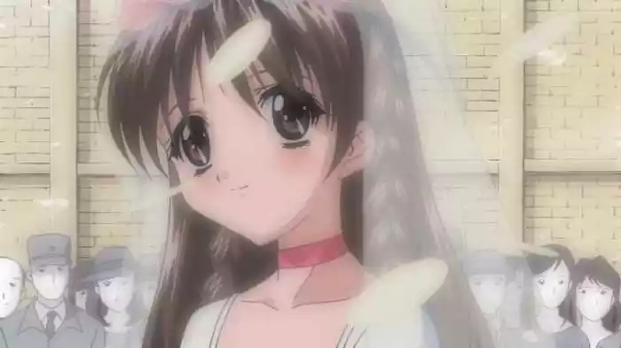 ハートデイズ